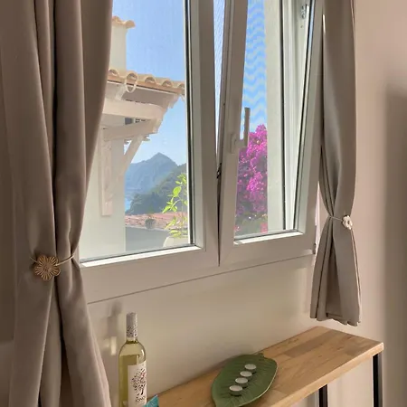 Vicky's Panoramic View بيليكاس